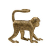 Wildwood Monkey Left Business