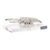 Wildwood Thibault Decorative Lobster