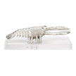 Wildwood Thibault Decorative Lobster