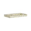 Wildwood Shell Shock Tray
