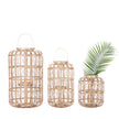 Chelsea House Harbour Island Lantern