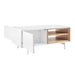Euro Style Bodie 48" Coffee Table