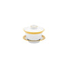 Haviland Plumes Chinese Teacup and Saucer