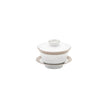 Haviland Plumes Chinese Teacup and Saucer
