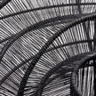Interlude Shadow 40