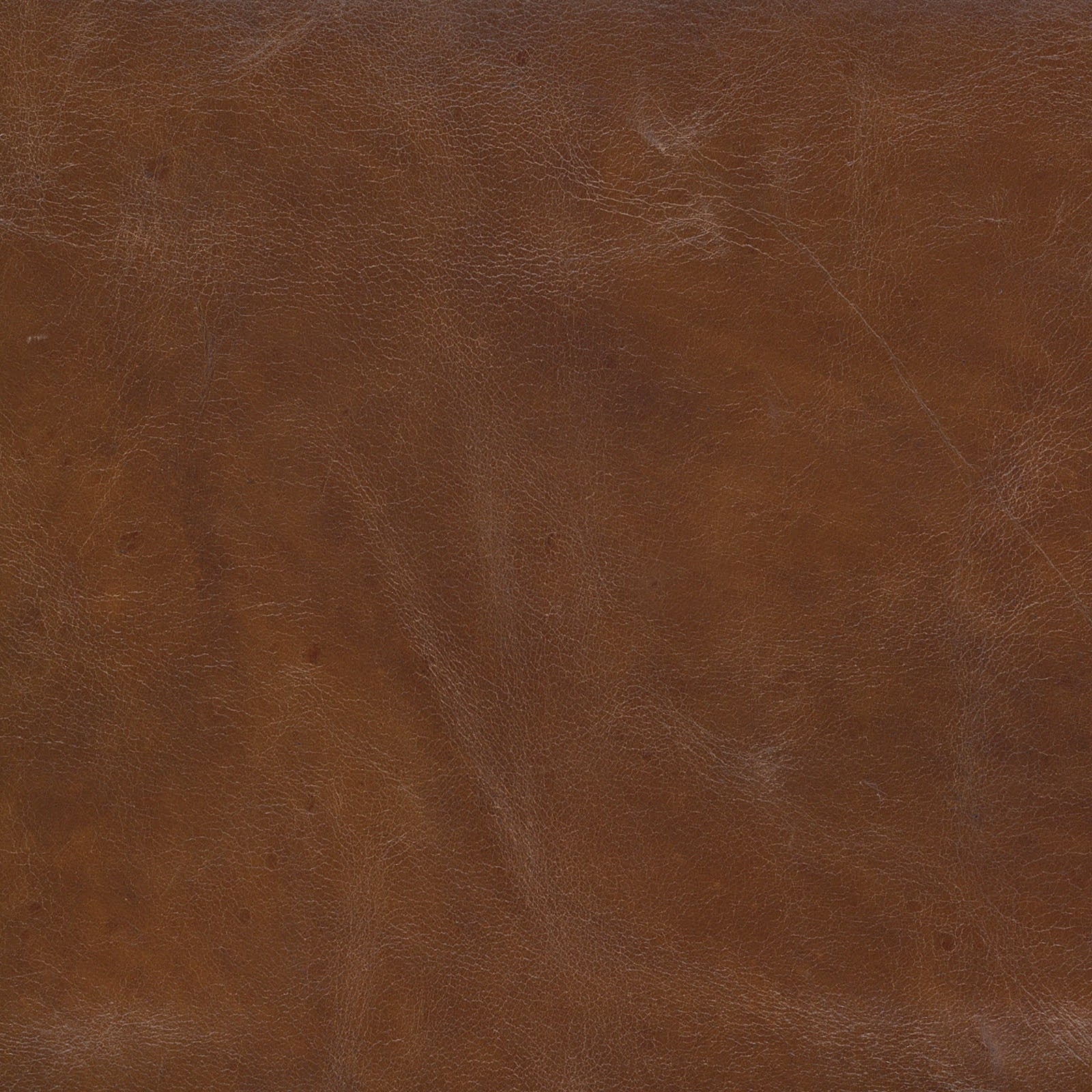 Regina Andrew Tufted Bench Square
