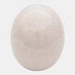 Global Views Ostrich Egg