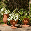 Global Views Villa Chalice Vase