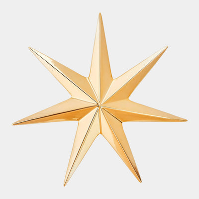 Global Views Stellar Wall Star