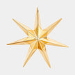 Global Views Stellar Wall Star
