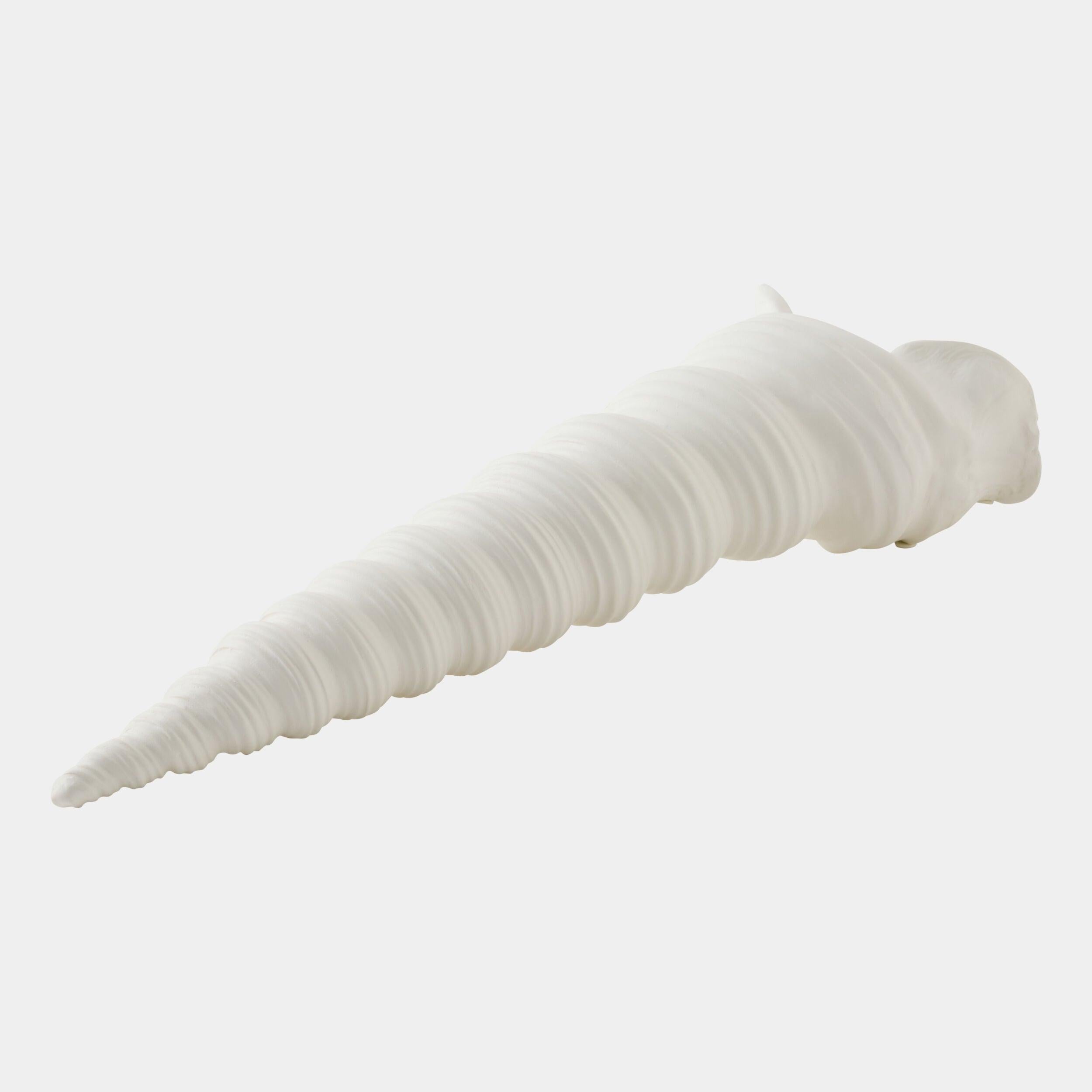 Global Views Turbinio Shell Vase