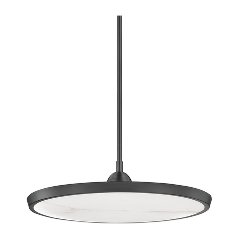 Hudson Valley Lighting Draper 20.25 inch Pendant Ceiling Light