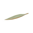 Chelsea House Green Leaf Dish