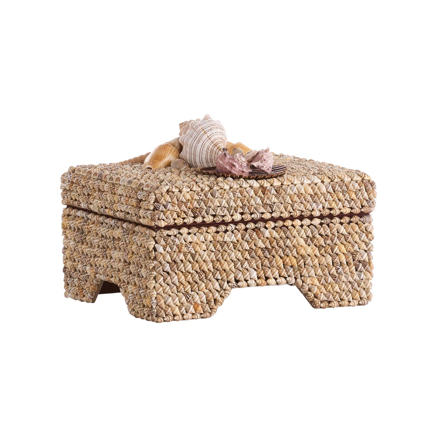 Chelsea House Island Shell Box