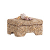 Chelsea House Island Shell Box
