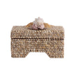 Chelsea House Island Shell Box