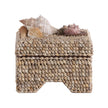 Chelsea House Island Shell Box