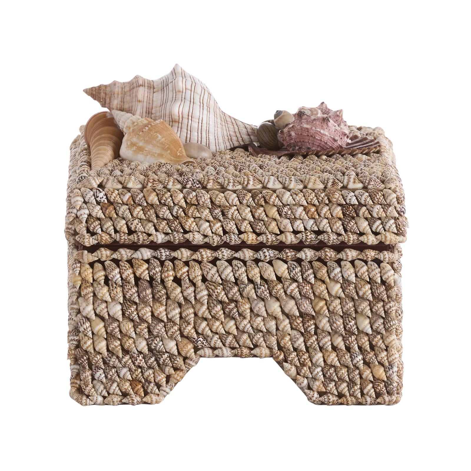 Chelsea House Island Shell Box