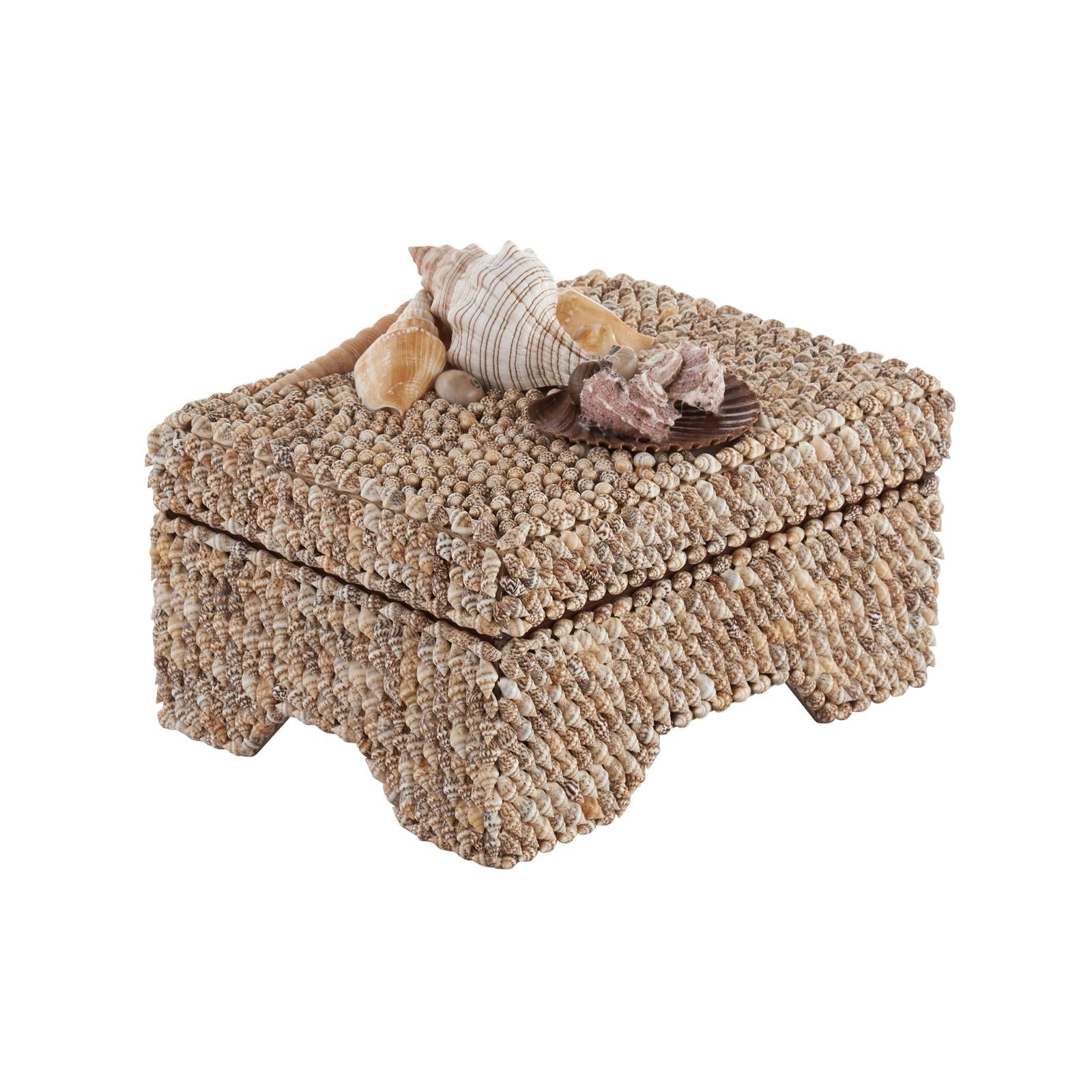 Chelsea House Island Shell Box