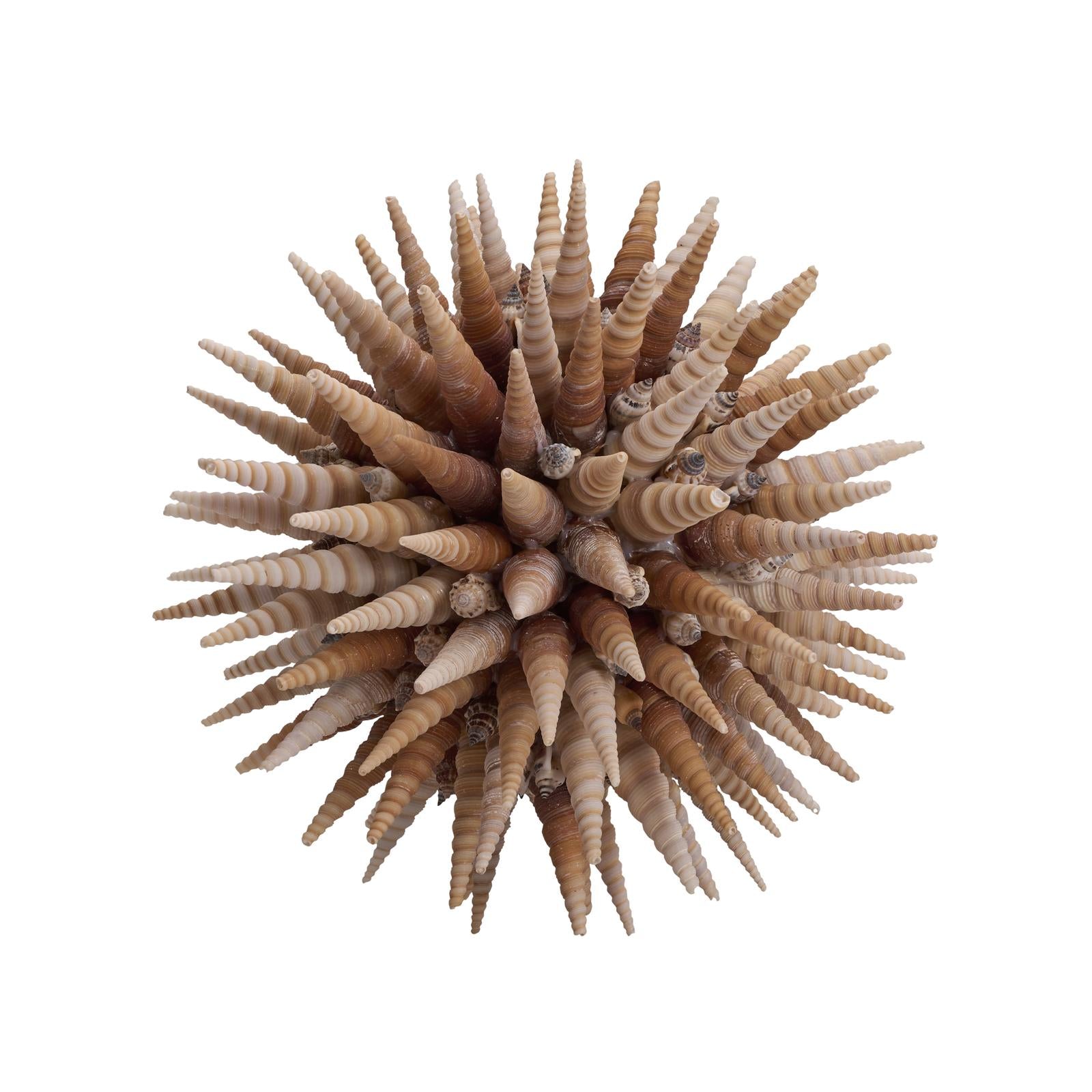 Chelsea House Marlin Shell Ball