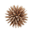 Chelsea House Marlin Shell Ball