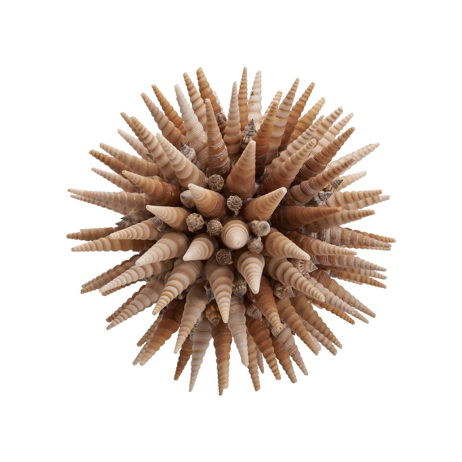Chelsea House Marlin Shell Ball