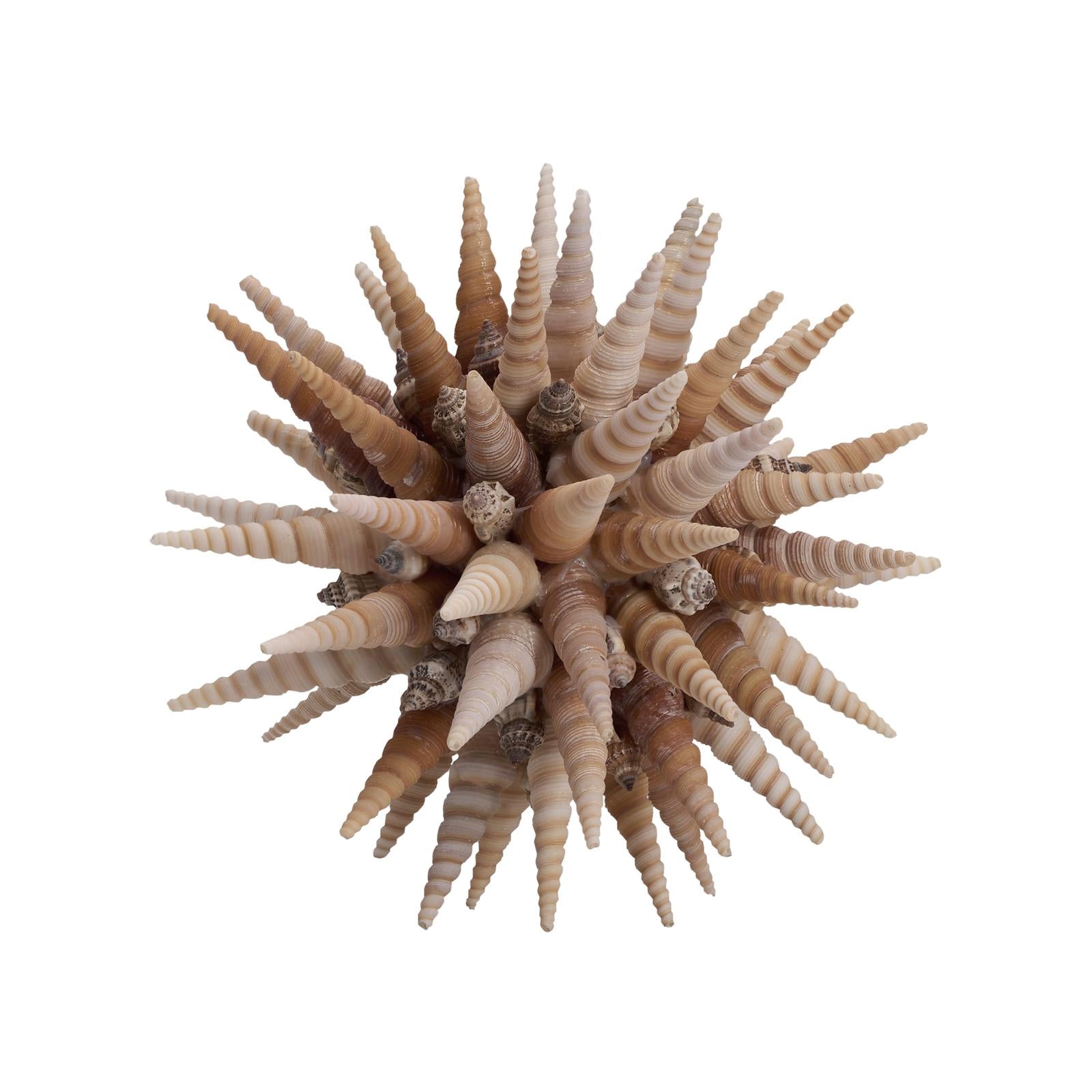 Chelsea House Marlin Shell Ball