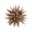 Chelsea House Marlin Shell Ball
