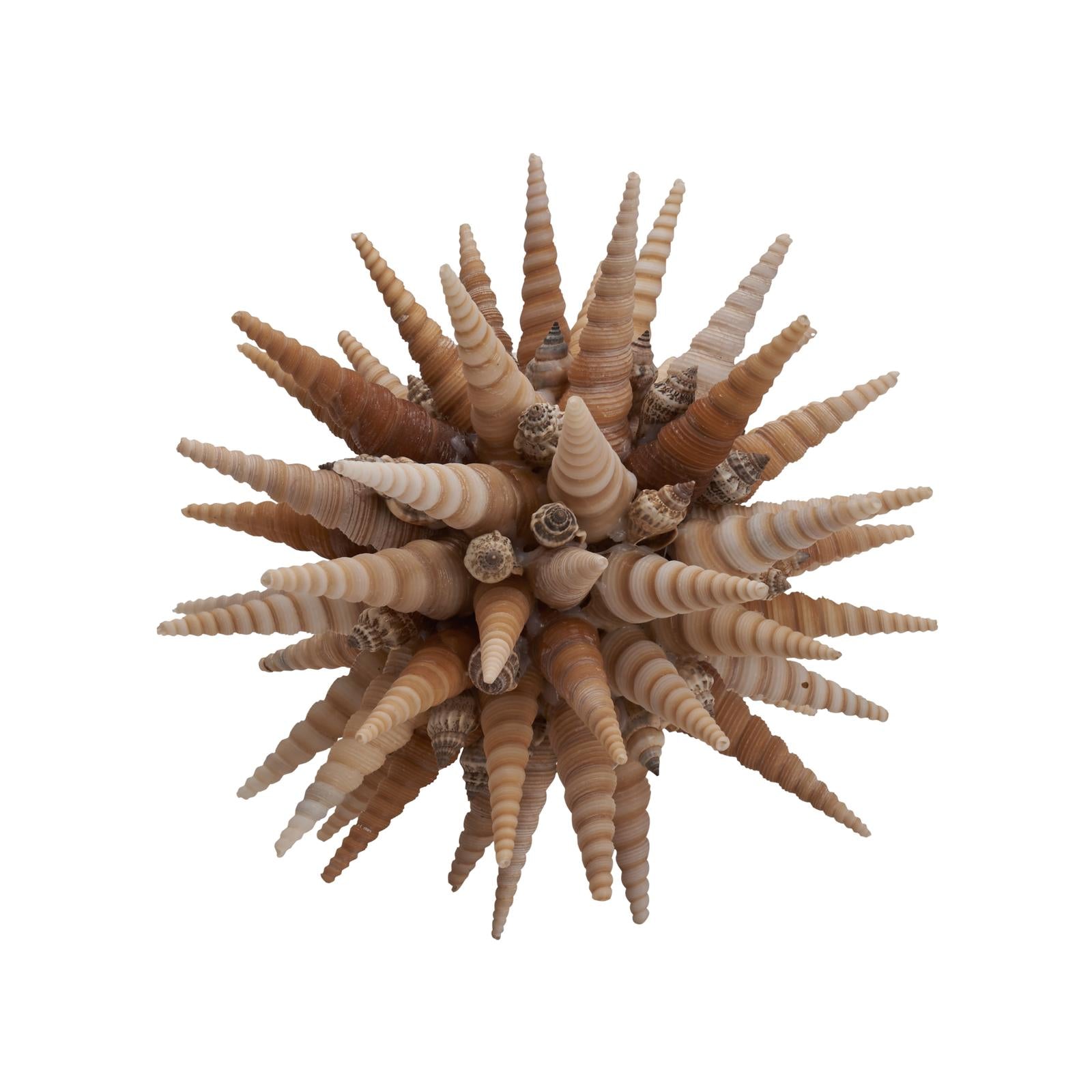 Chelsea House Marlin Shell Ball
