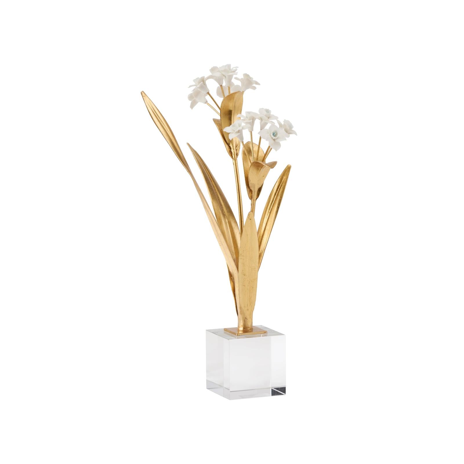 Chelsea House Paperwhite Narcissus