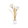 Chelsea House Paperwhite Narcissus