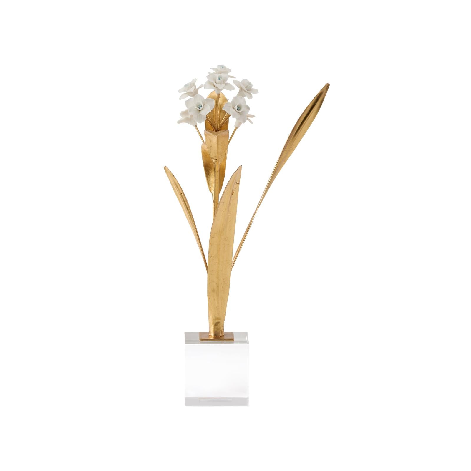Chelsea House Paperwhite Narcissus