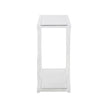 Chelsea House Sweeping Acrylic Console