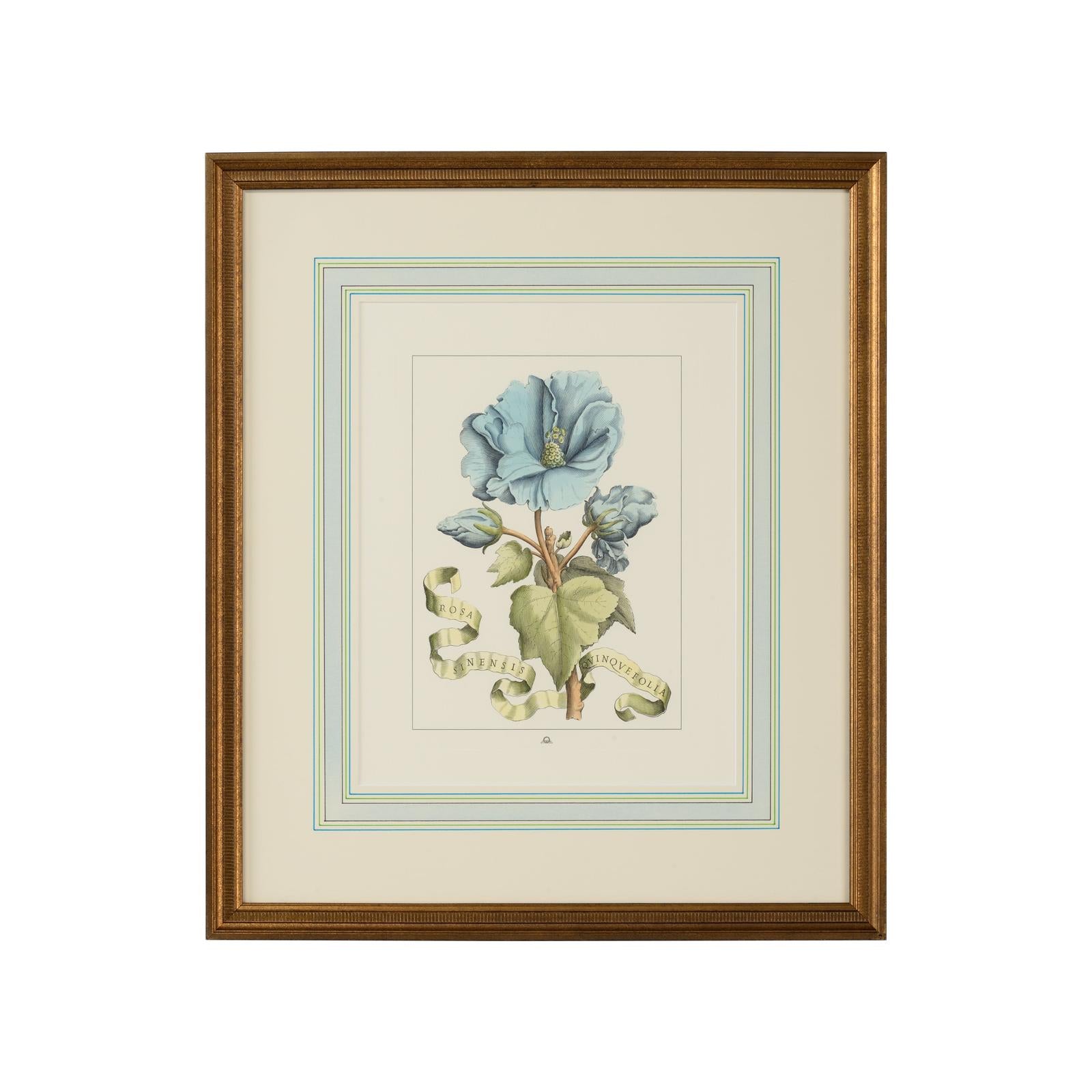 Chelsea House Bl Floral W Ribbon