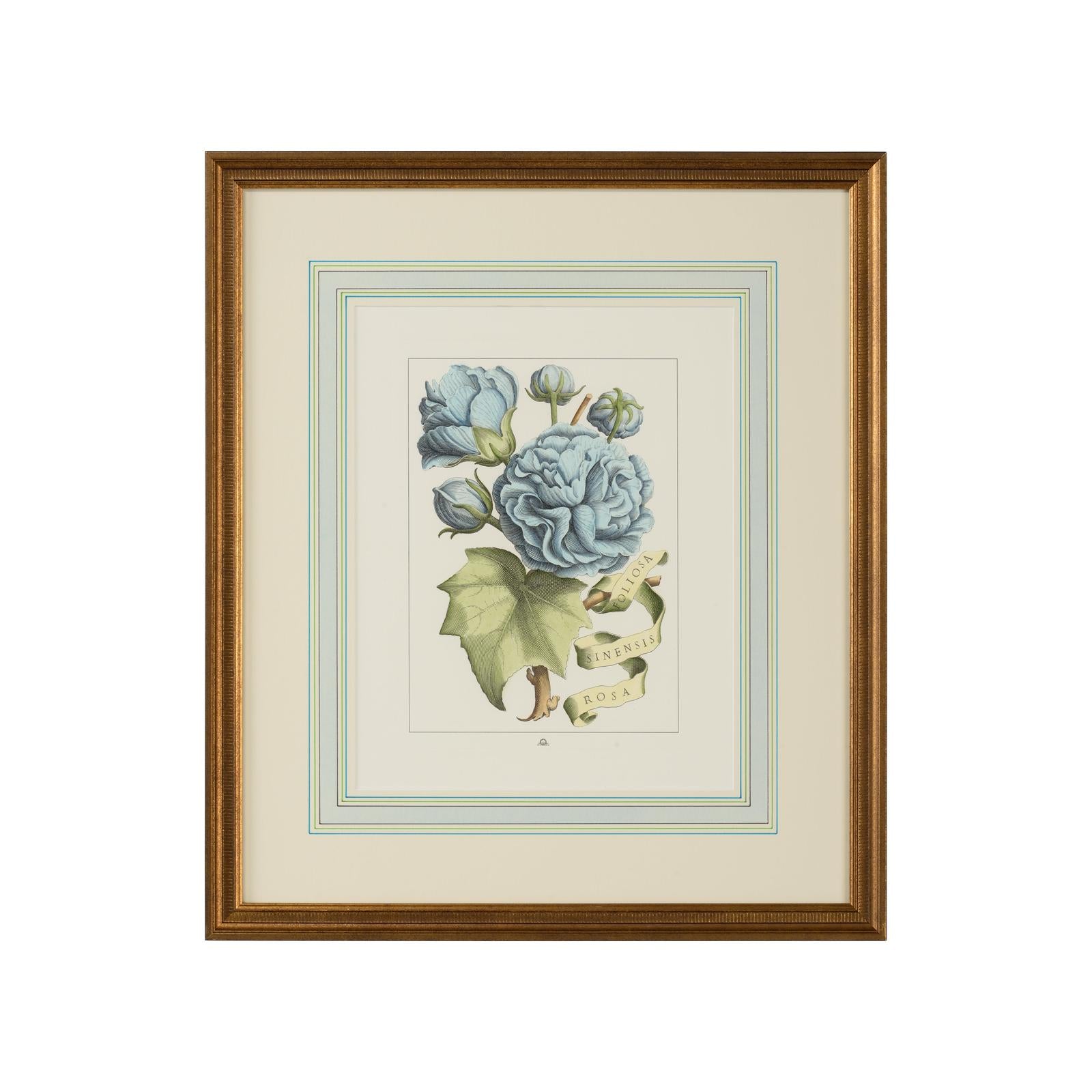 Chelsea House Bl Floral W Ribbon