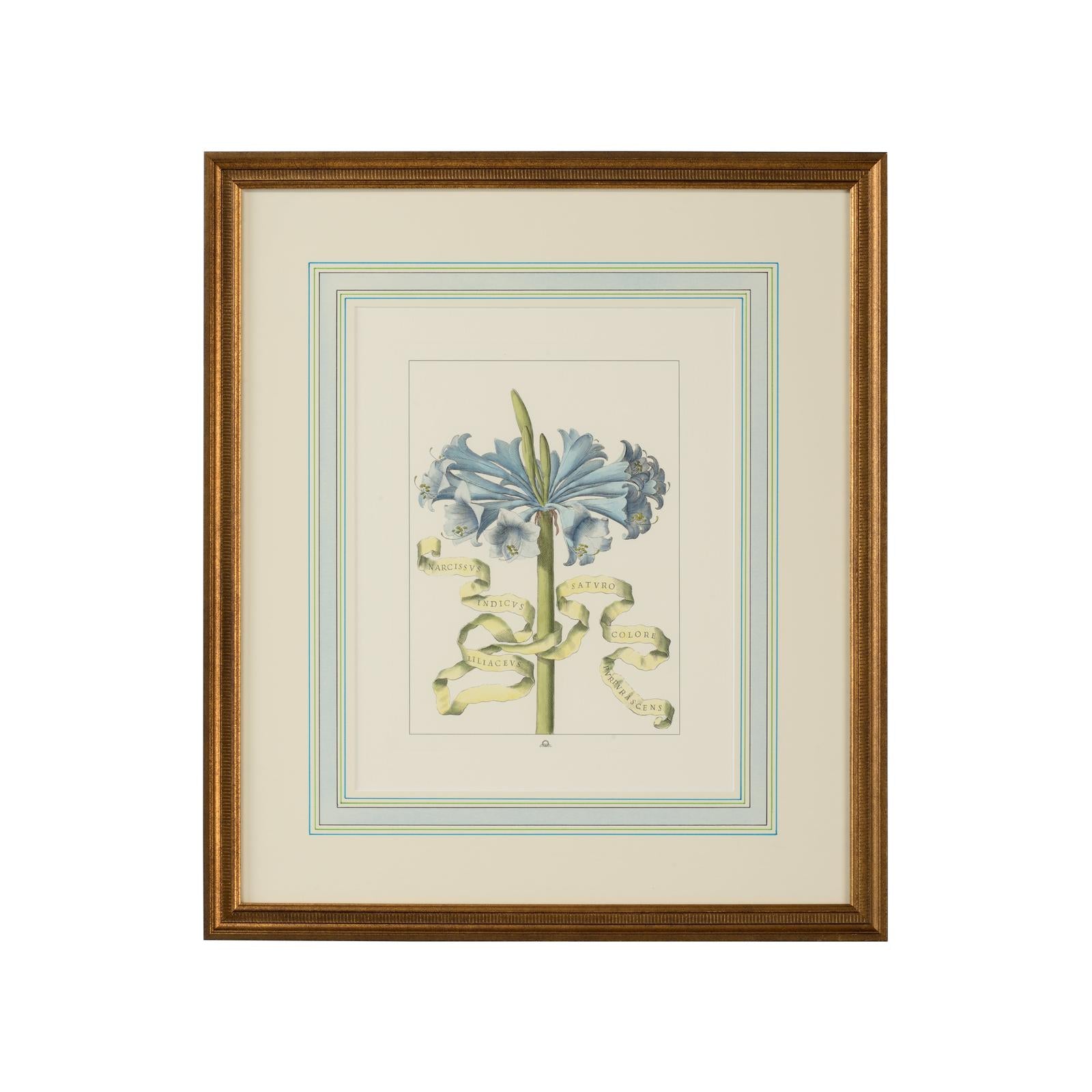Chelsea House Bl Floral W Ribbon