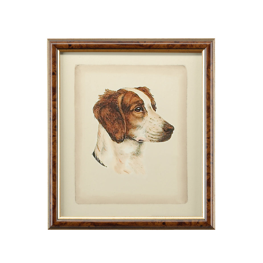 Chelsea House Danchin Frame