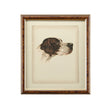 Chelsea House Danchin Frame