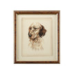 Chelsea House Danchin Frame