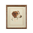 Chelsea House Danchin Frame