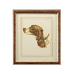 Chelsea House Danchin Frame