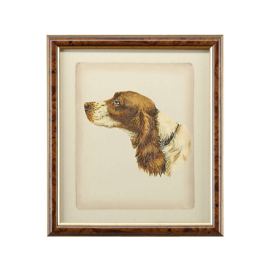 Chelsea House Danchin Frame