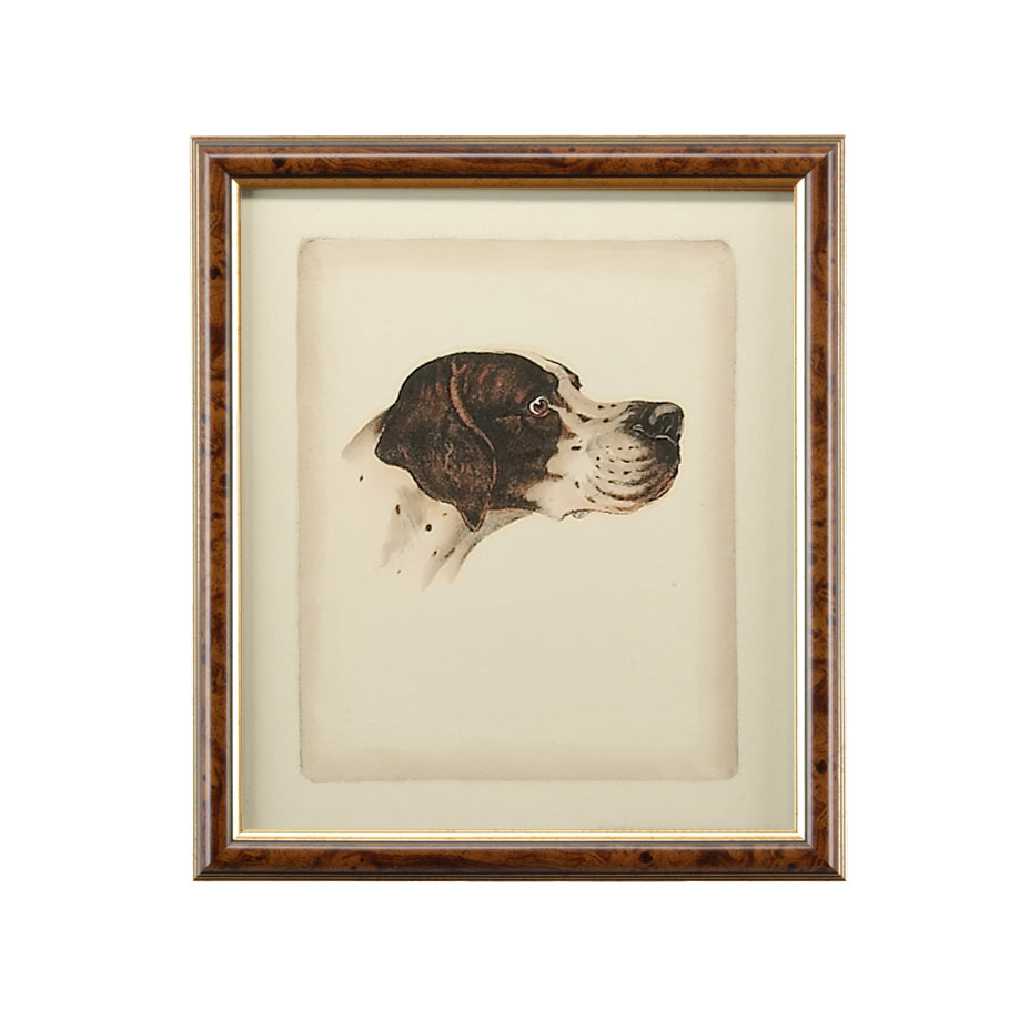 Chelsea House Danchin Frame