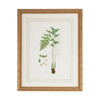 Chelsea House Curtis Ferns Frame
