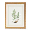 Chelsea House Curtis Ferns Frame