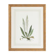 Chelsea House Curtis Ferns Frame