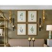 Chelsea House Curtis Ferns Frame