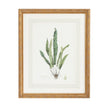 Chelsea House Curtis Ferns Frame