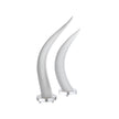 Chelsea House White Horns, Set of 2