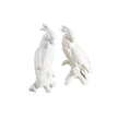 Chelsea House White Cockatoos Figure, Pair